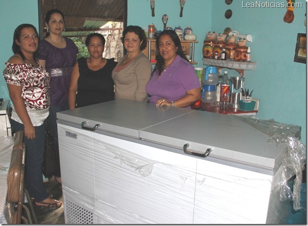 http://www.leanoticias.com/wp-content/uploads/2012/06/foto-1-El-Gato-don-un-frizer-a-madre-de-familia.jpg