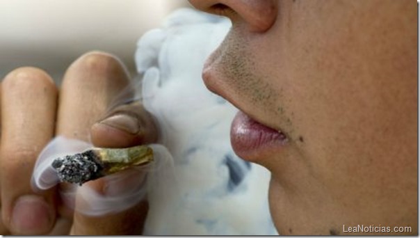 marihuana-homosexualidad marihuana-homosexualidad
