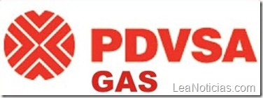 PDVSA_gas_consulta