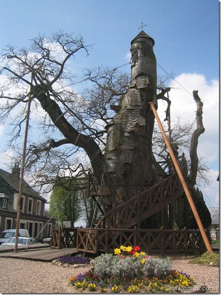 el-arbol-que-es-una-iglesia