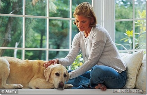 mujer-habla-con-su-perro