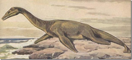 plesiosaurios-no-ponian-huevos
