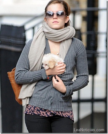 emma-watson-cachorro