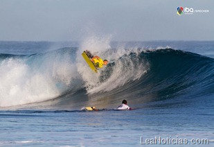 Heison_Carrion_Day2_IMG_2516_IBA_Puerto_Rico_2011_Specker_n-1