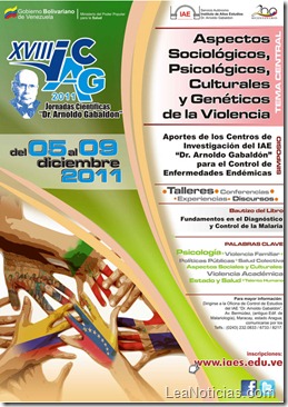 afiche-jornadas-IAES