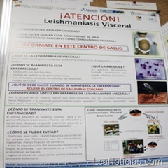 afiche_biomedicina