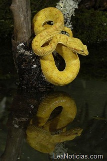 clip_image001 clip_image001