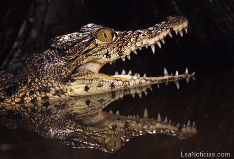 clip_image007 clip_image007