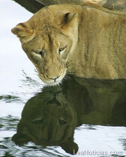 clip_image008 clip_image008