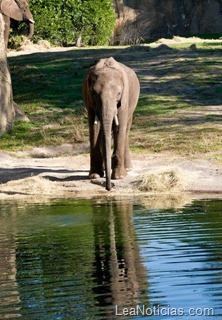 clip_image010 clip_image010