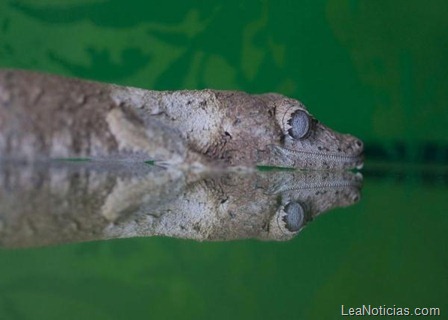 clip_image011 clip_image011