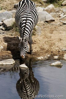 clip_image013 clip_image013