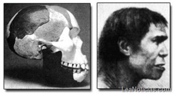 clip_image002 clip_image002