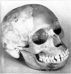 clip_image003 clip_image003