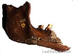 clip_image005 clip_image005