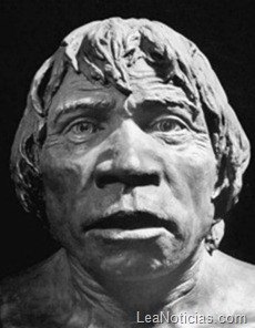 clip_image006 clip_image006