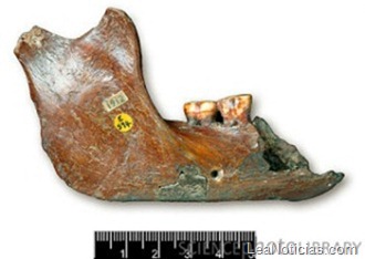 clip_image009 clip_image009