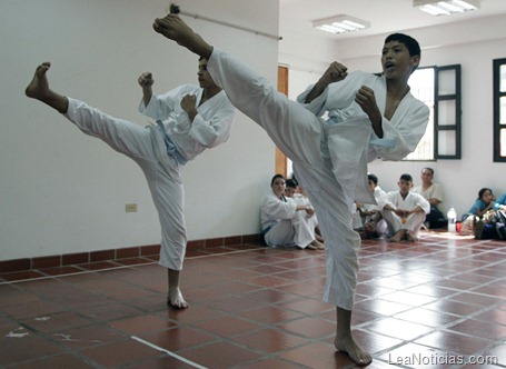 KARATE DO IAMDER (2)