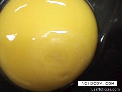 clip_image001 clip_image001