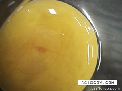 clip_image002 clip_image002