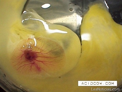 clip_image004 clip_image004