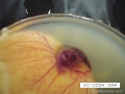 clip_image005 clip_image005