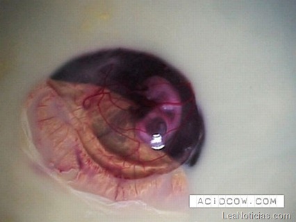 clip_image007 clip_image007