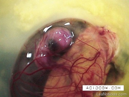 clip_image008 clip_image008