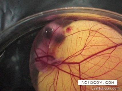 clip_image009 clip_image009