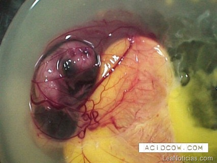 clip_image010 clip_image010