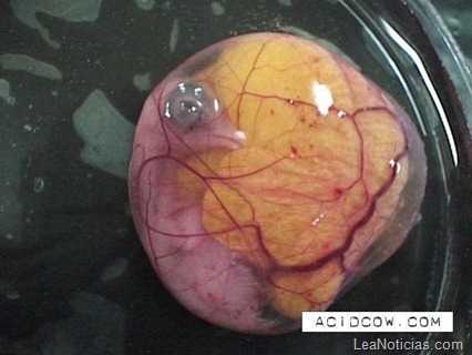 clip_image012 clip_image012