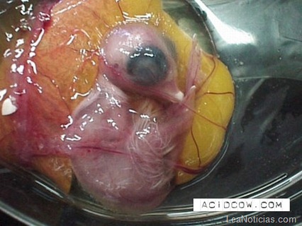 clip_image013 clip_image013