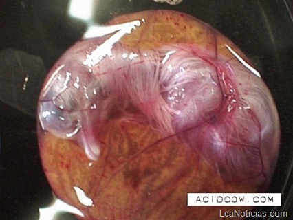 clip_image014 clip_image014