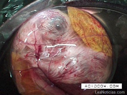 clip_image015 clip_image015