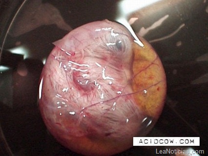 clip_image016 clip_image016