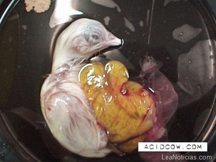 clip_image017 clip_image017