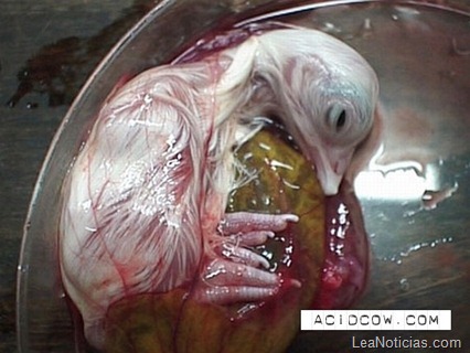 clip_image018 clip_image018