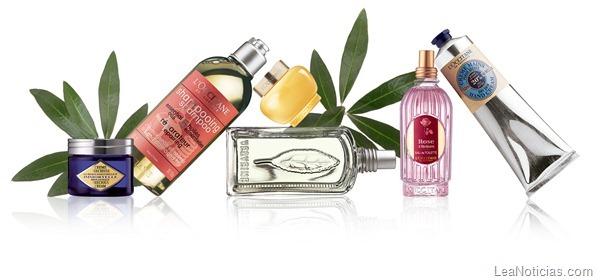 L´Occitane productos