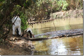 rio guarapiche