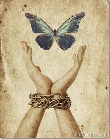 05.-Freedom-Butterfly