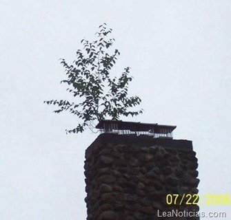 clip_image073 clip_image073