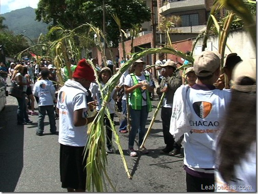 palmeros_chacao_comando_tricolor_04