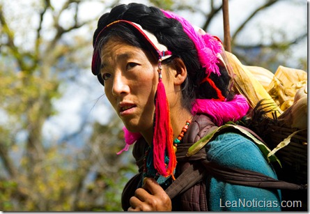 tibetana_enalta