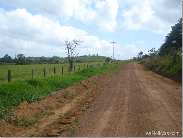 Alcaldía de Santa Ana realiza mejoras en las vías agrícolas