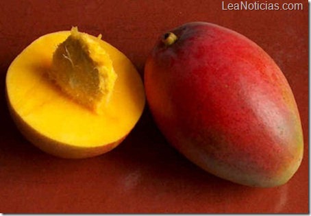 Feria del mango y merey