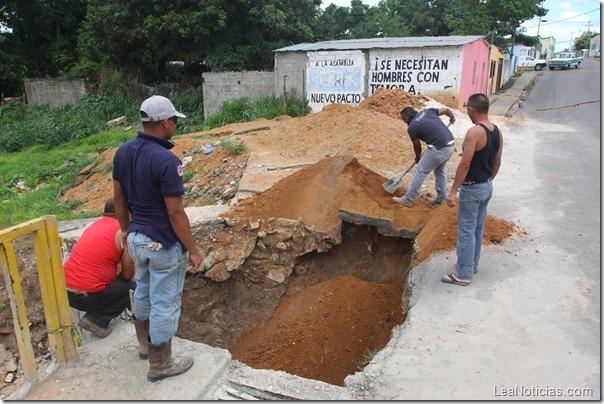 Puente Guarico (2)