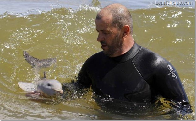 bebe-delfin