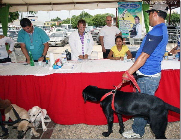 DIMISOC JORNADA DE VACUNACION CANINA 1