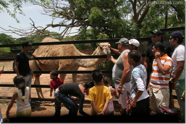 Zoológico del Zulia apaga este viernes sus 39 velitas