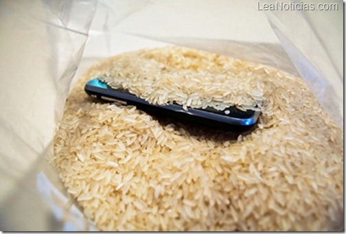 arroz-celular